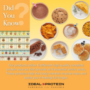 Ideal Protein Weight Loss